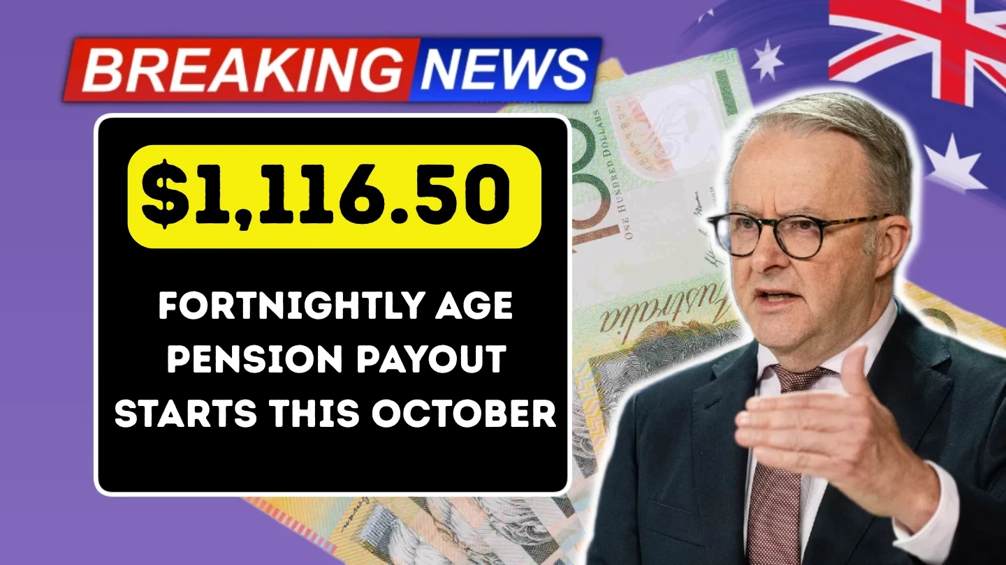 Fortnightly Age Pension Payout